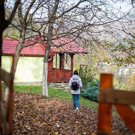 Holiday home Nanin konak 2 Vrdnik Dış mekan fotoğraf