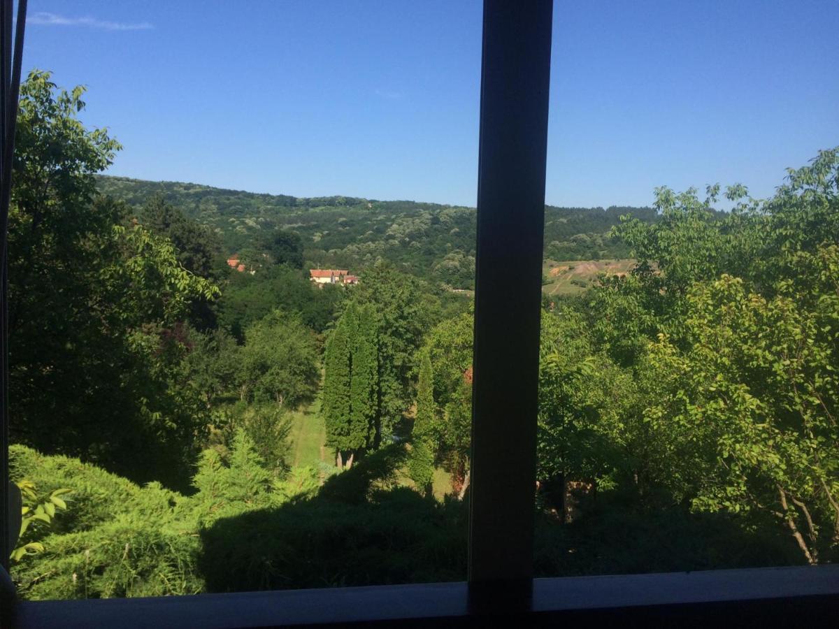 Holiday home Nanin konak 2 Vrdnik Dış mekan fotoğraf