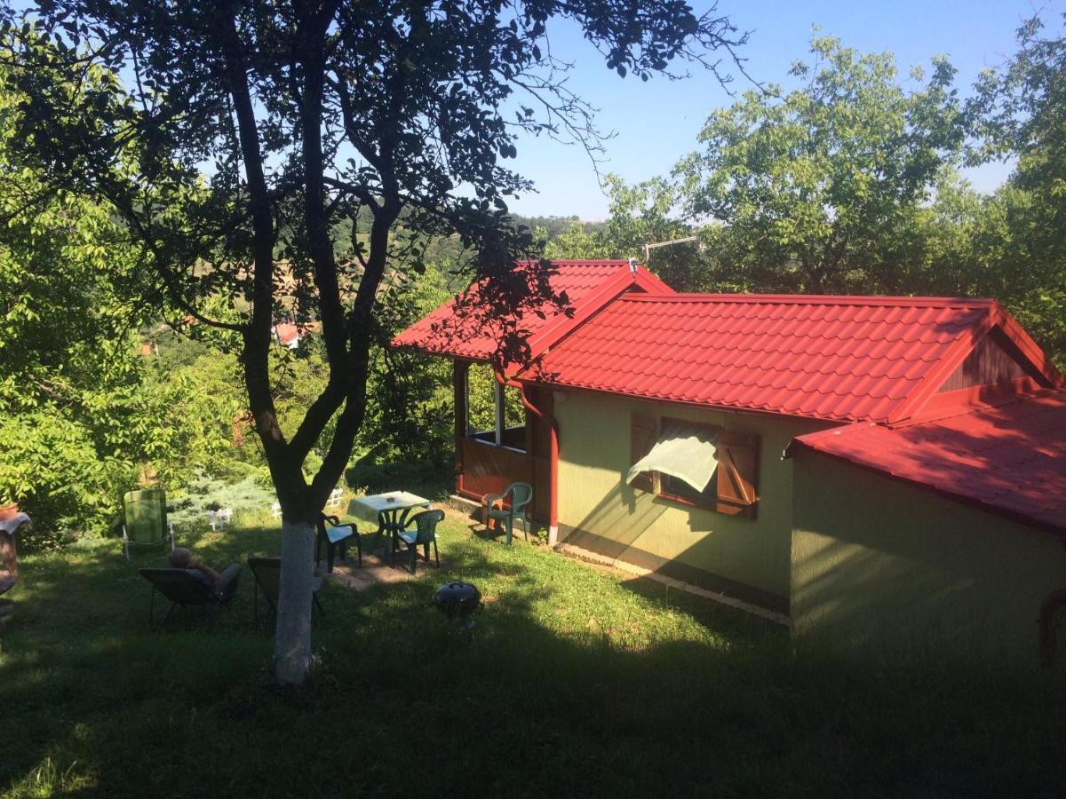 Holiday home Nanin konak 2 Vrdnik Dış mekan fotoğraf