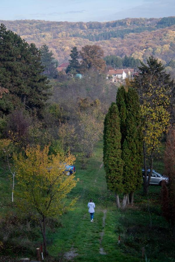 Holiday home Nanin konak 2 Vrdnik Dış mekan fotoğraf