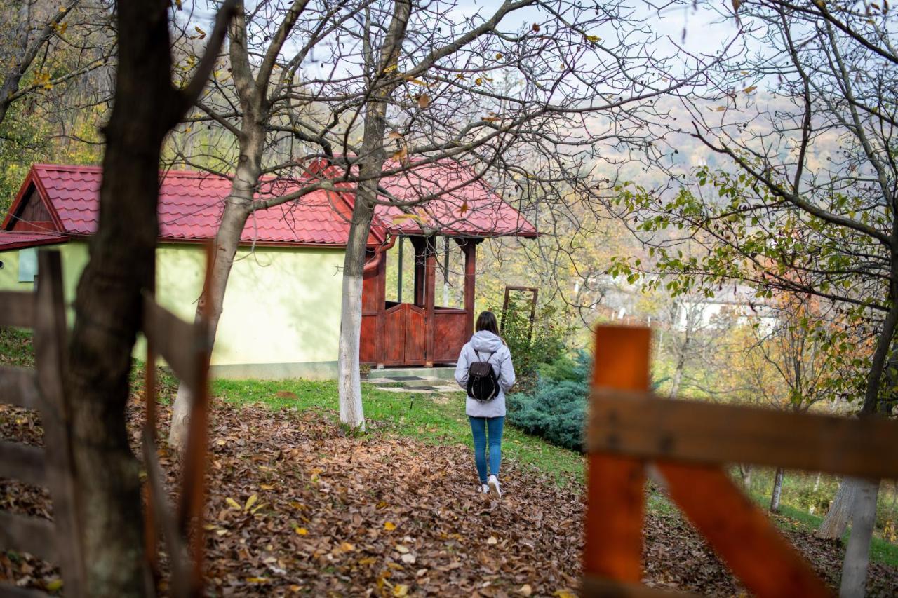 Holiday home Nanin konak 2 Vrdnik Dış mekan fotoğraf