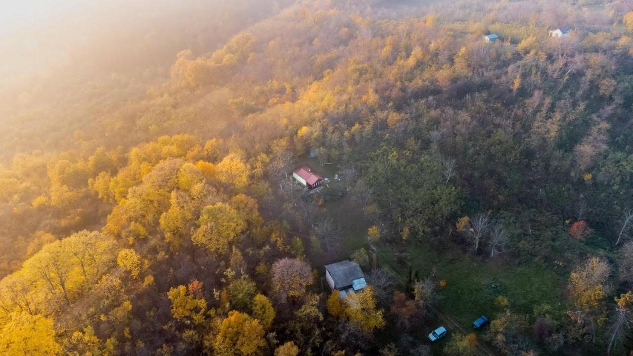 Holiday home Nanin konak 2 Vrdnik Dış mekan fotoğraf