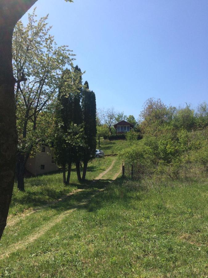 Holiday home Nanin konak 2 Vrdnik Dış mekan fotoğraf