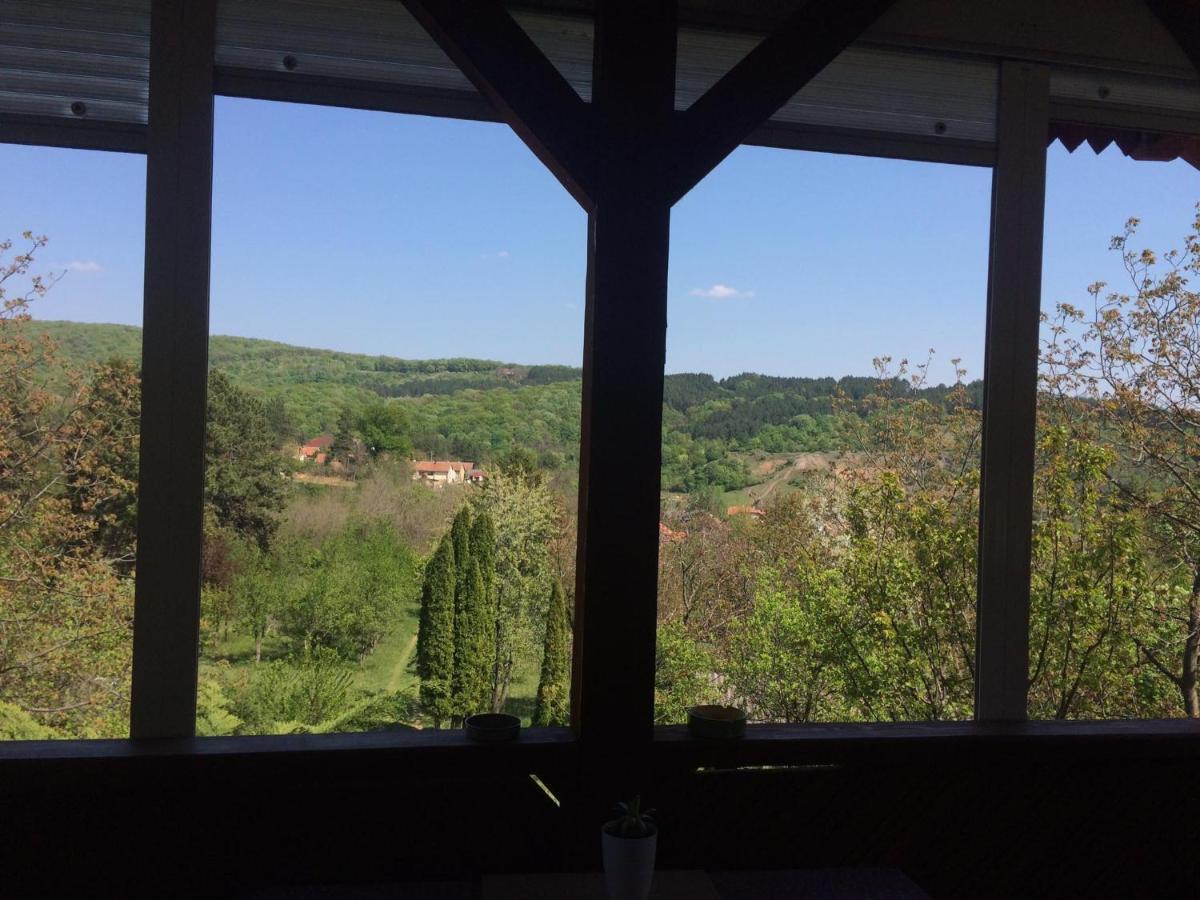 Holiday home Nanin konak 2 Vrdnik Dış mekan fotoğraf
